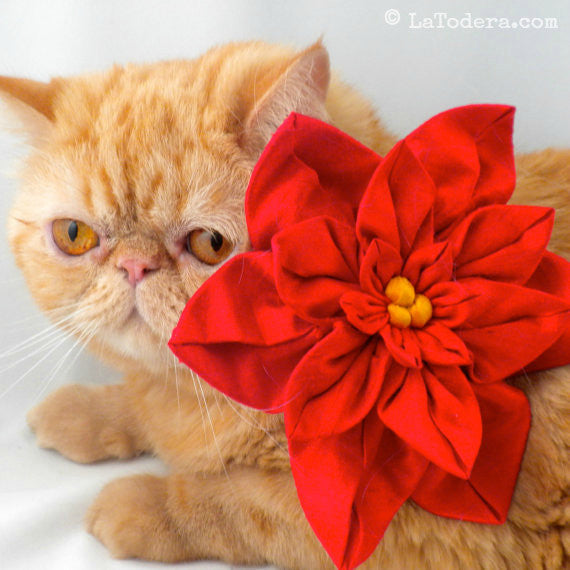 DIY Fabric Flower Poinsettia Brooch Tutorial - PDF Sewing Pattern - La Todera